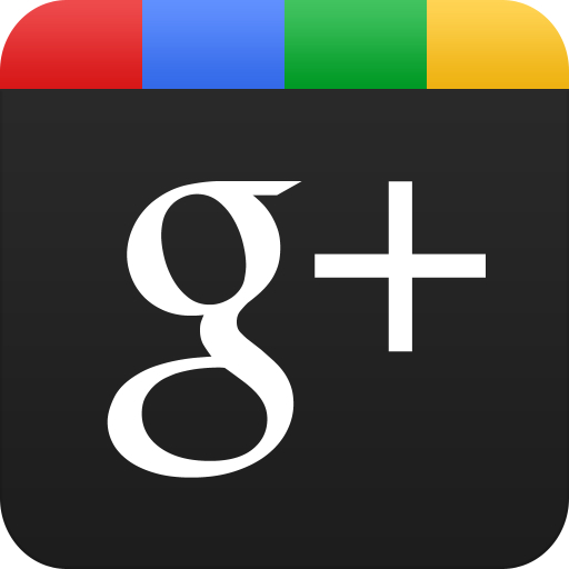 Google Icon
