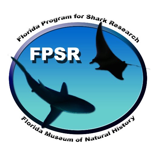 Uf Shark Research