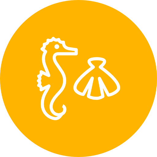Seahorse, Shell, Summer Icon Free Of Summer Line Icons Set