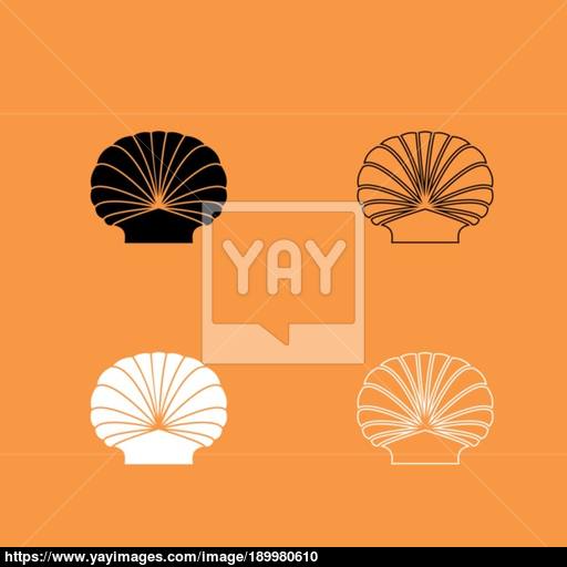 Shell Black And White Set Icon Vector