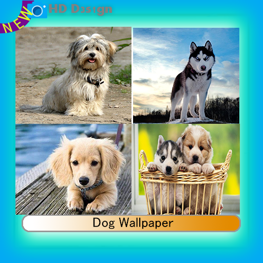 Dog Wallpaper Latest Version Apk