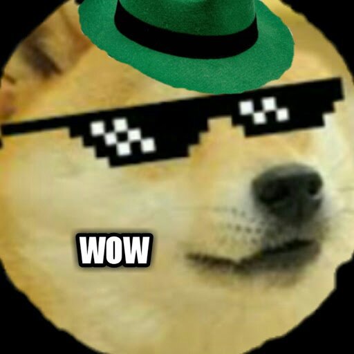 Shiba Inu Furries Wiki Furry Amino