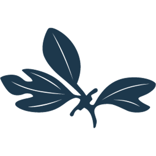 Cropped Qsh Logo Icon Blue