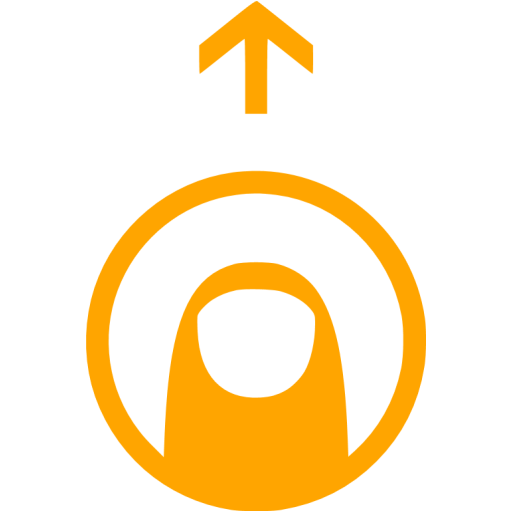 Orange Drag Up Icon