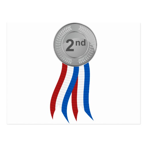 Pictures Of Silver Medal Icon