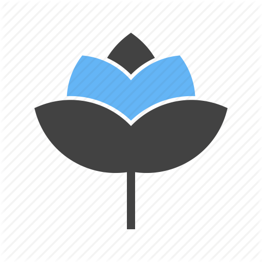 Beauty, Flower, Nature, Red, Rose, Roses, Single Icon