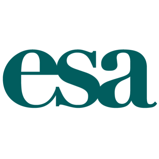 Cropped Site Icon For Wordpress Browser Tab Artboard