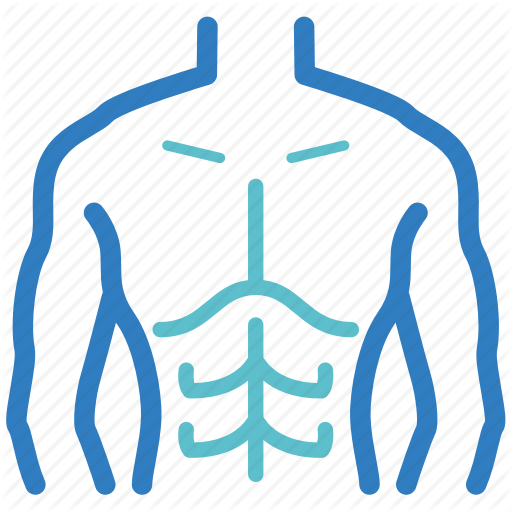 Body, Firm, Fitness, Man, Muscle, Six Pack, Weight Training Icon