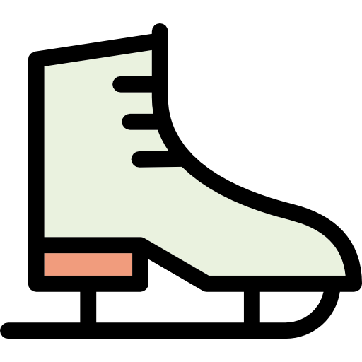 Ice Skate Icon
