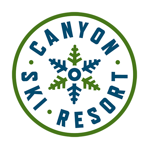 Canyonski Circle Rgb Icon