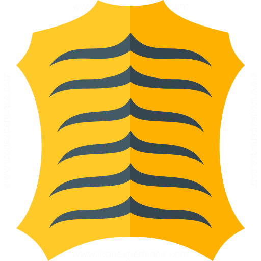 Iconexperience G Collection Skin Tiger Icon