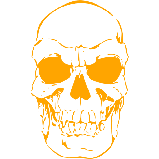 Orange Skull Icon