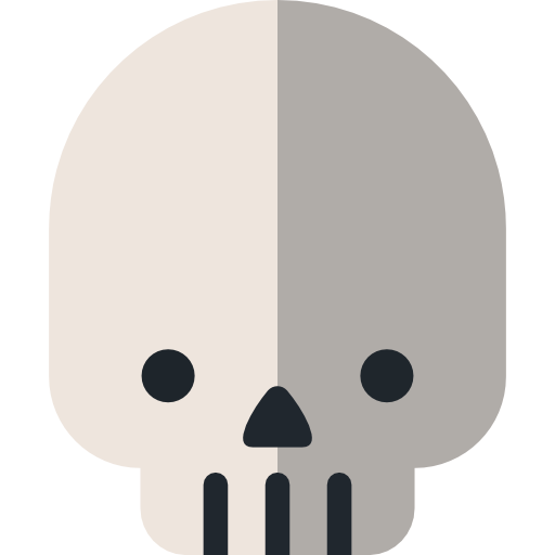 Skull Icon