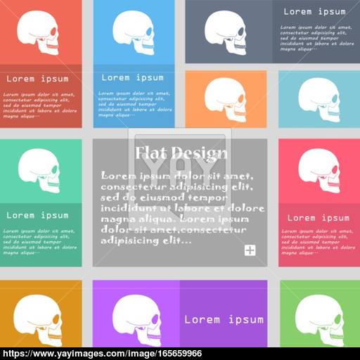 Skull Icon Sign Set Of Multicolored Buttons With Space For Text