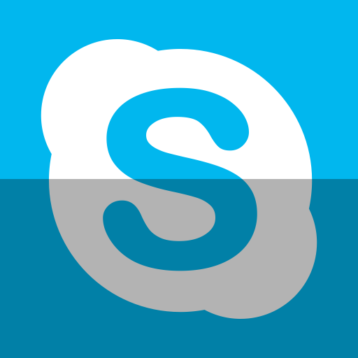 Skype Icon