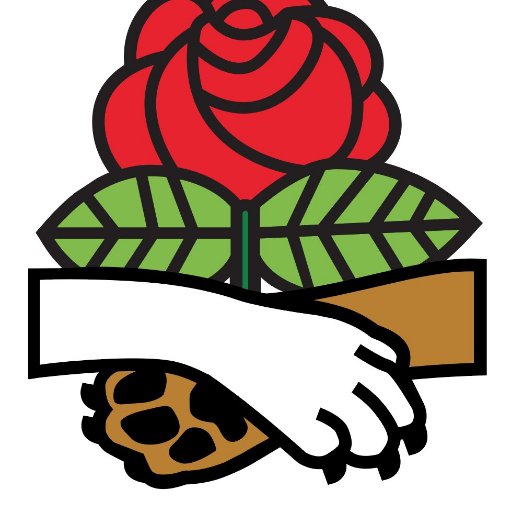 Dogs For Couches For The Canine Class