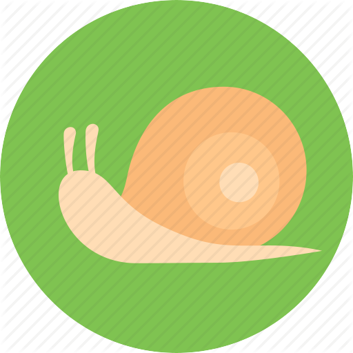 Slow, Snail Icon