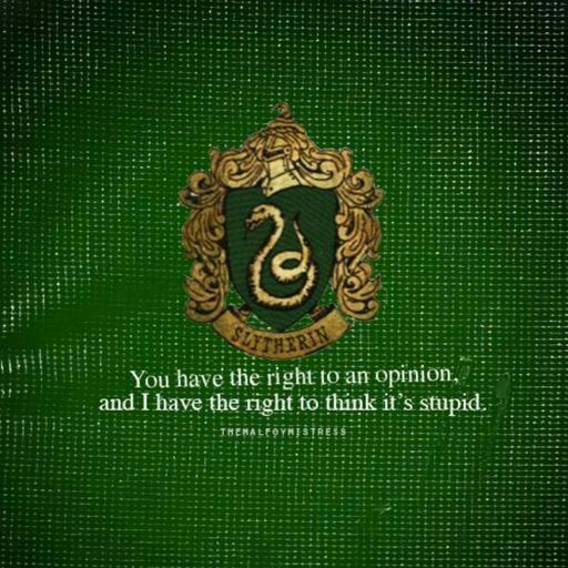 Who's A Proud Slytherin Harry Potter Amino