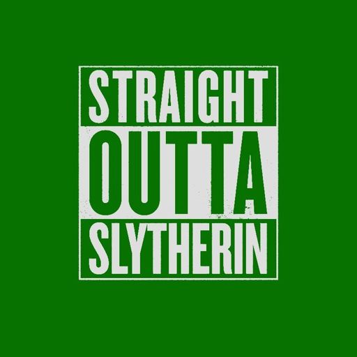 Second Heir Of Harry Potter Amino