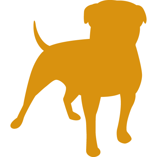 Hermos Pet Best For Your Dog