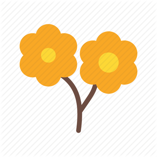 Floral, Flower, Flowers, Garden, Rose, Roses, Spring Icon