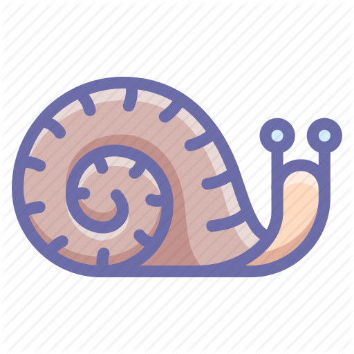 Shell, Slow, Snail Icon