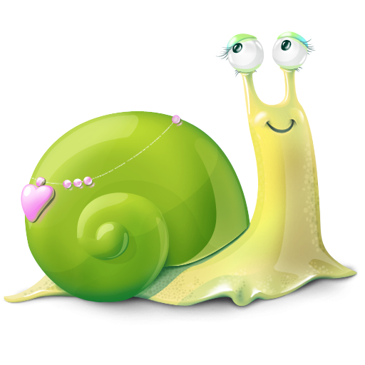 All Funny Snails Snail Art