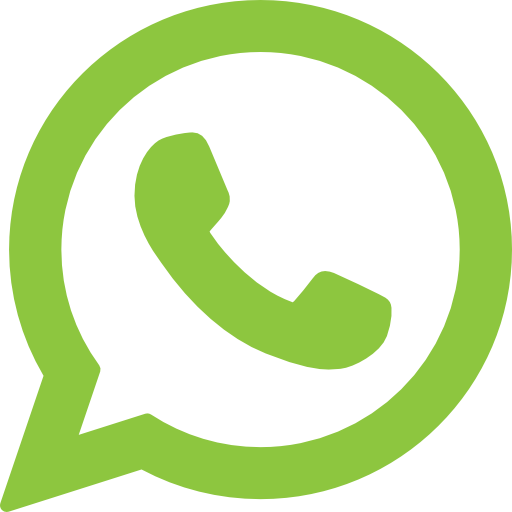 Social Media Whatsapp Flat Icon