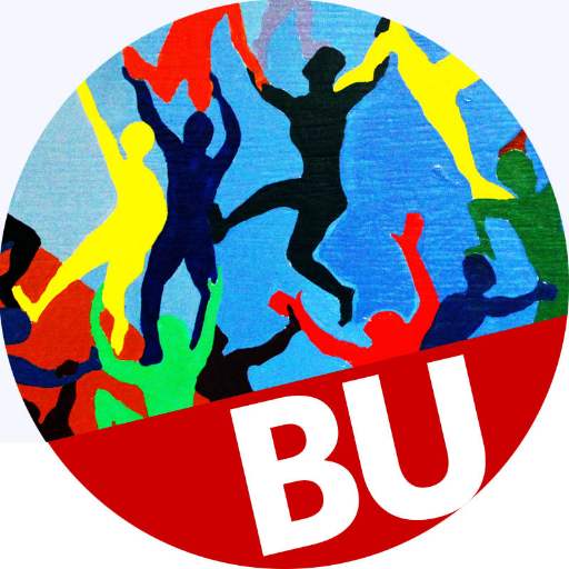 Bu School Of Social Work