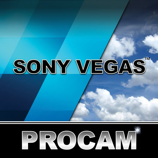Procam For Sony Vegas