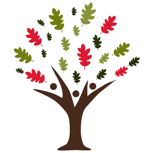 News Friends Of The New Forest