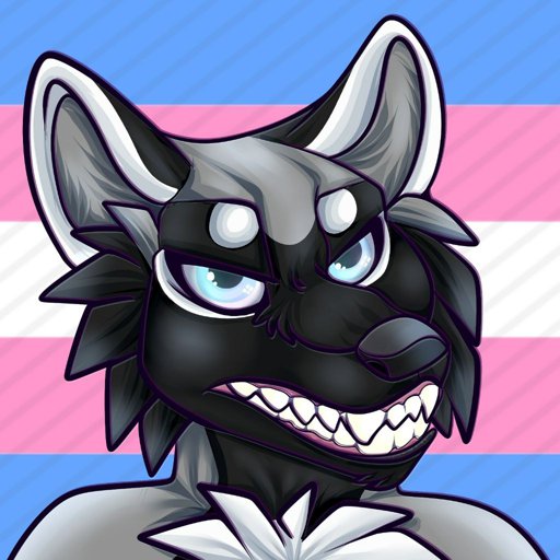 Transpride Furry Amino