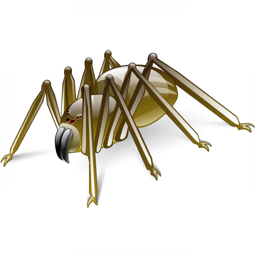 Iconexperience V Collection Spider Icon