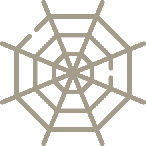 Spider Web Cobweb Png Icon