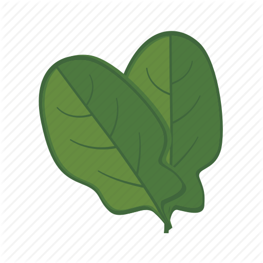 Food, Spinach, Vegetable, Vitamn