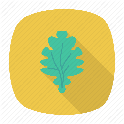Leaf, Nature, Spinach, Vegetable Icon