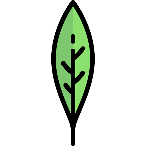 Spinach Png Icon