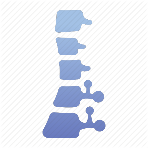 Anatomy, Body, Bone, Health, Medical, Skeleton, Spine Icon