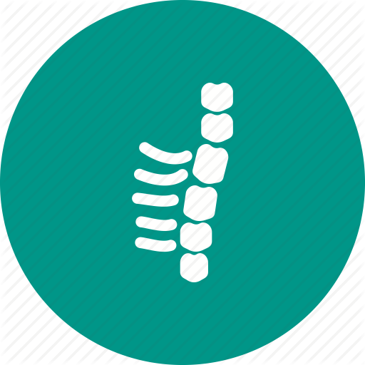 Back, Body, Bone, Human, Spine, Surgery Icon