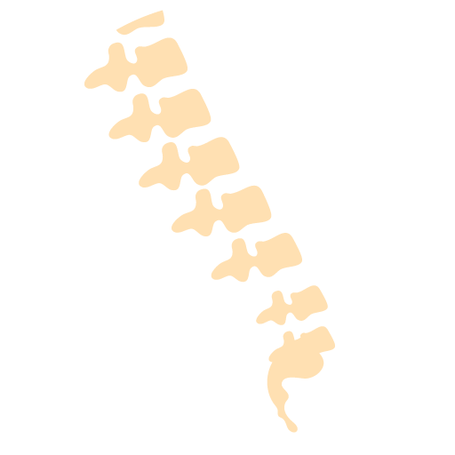 Icon Spine X Ray Circle