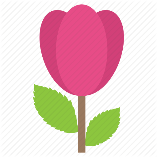 Flower, Lily Bud, Lotus, Nature Blooming, Spring Season Icon