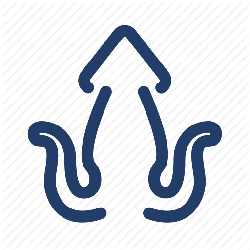 Octopus, Sea Food, Squid Icon