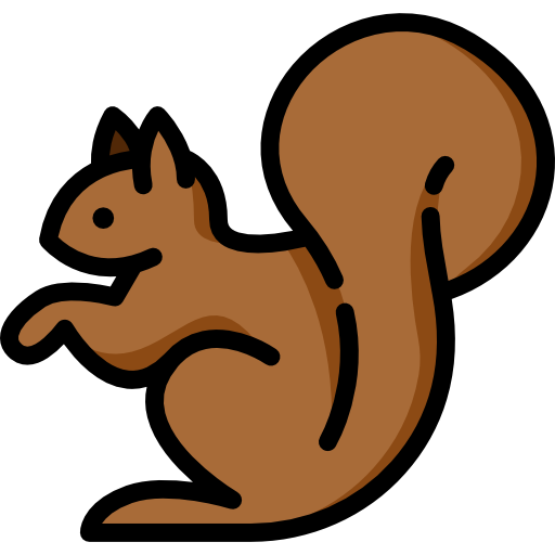 Squirrel