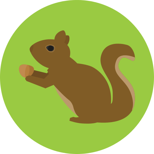 Squirrel Png Icon