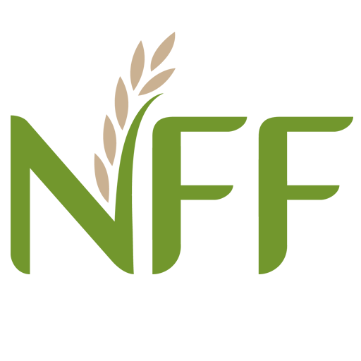 Cropped Nff Icon