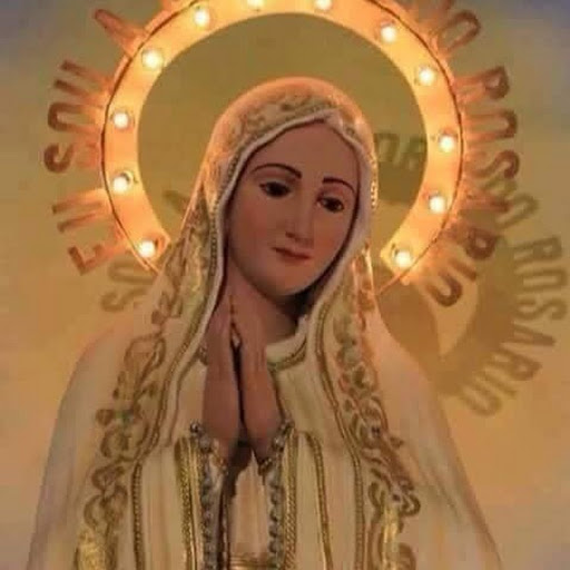 Catholic Faith Warriors Fighting The Good Fight + The Life