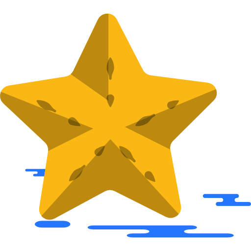 Star Icon Free Of Miscellanea Icons