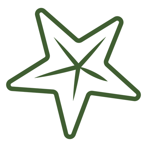 Simple Star Icon