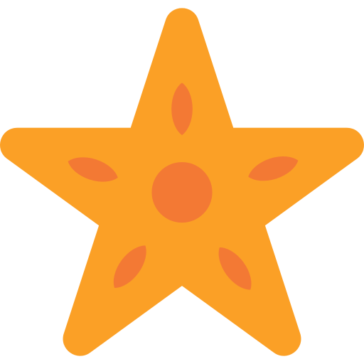 Starfish Png Icon