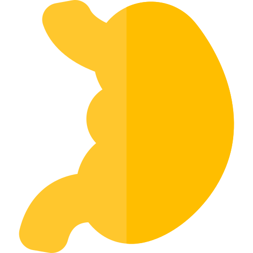 Stomach Png Icon